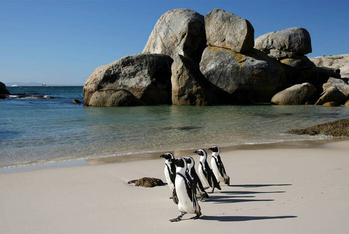 South Africa's Garden Route & Winelands
