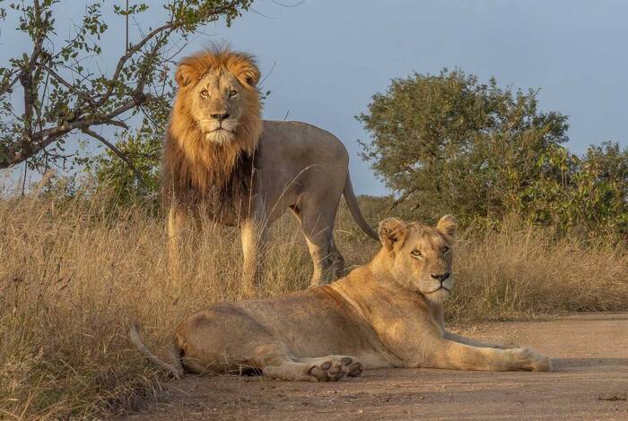 South Africa's Kruger, Coast & Garden Route South Africa's Kruger, Coast & Garden Route