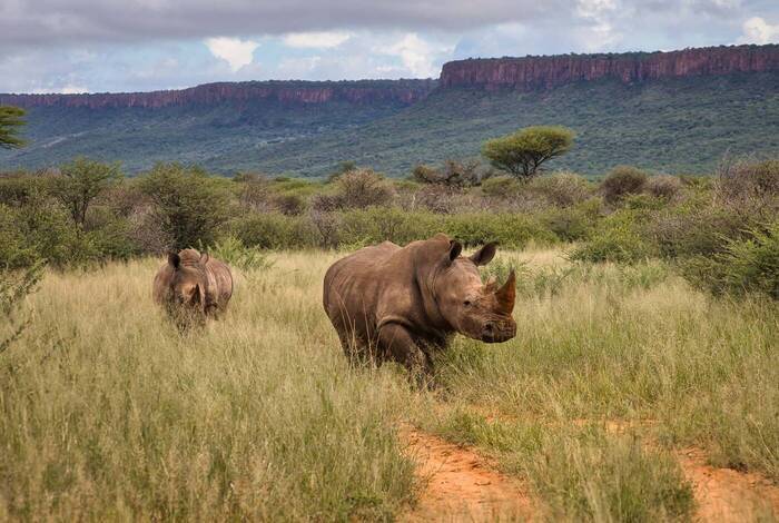 Highlights of Namibia & Botswana Highlights of Namibia & Botswana