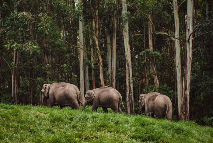 India Experience India Experience