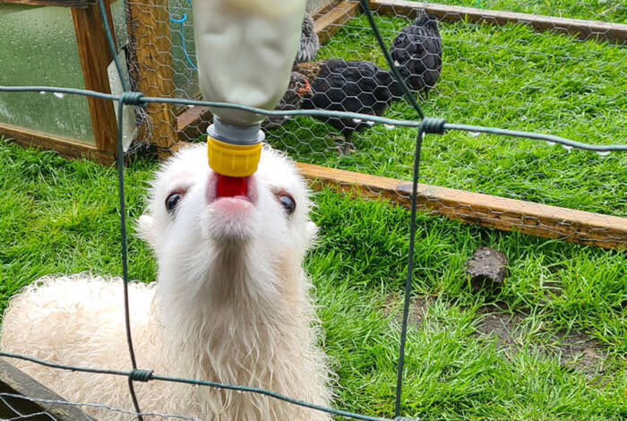 Explore Faroe Islands