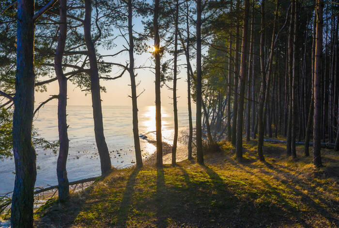 Baltic Experience Baltic Experience