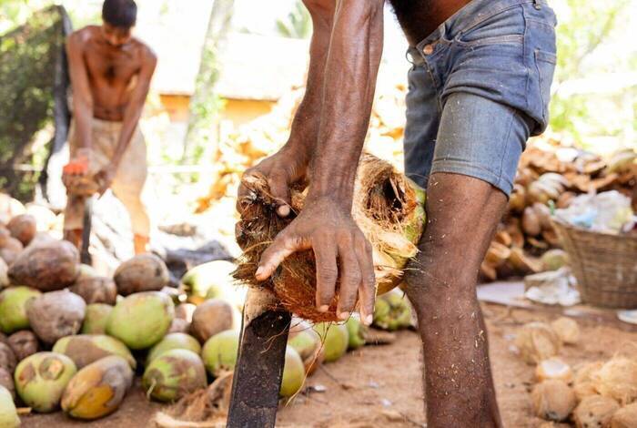 Sri Lanka Explorer Sri Lanka Explorer