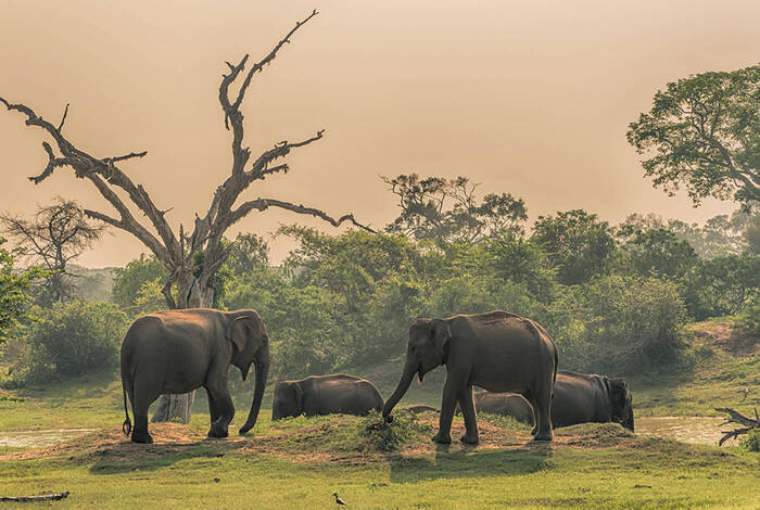 Cycle Sri Lanka Cycle Sri Lanka
