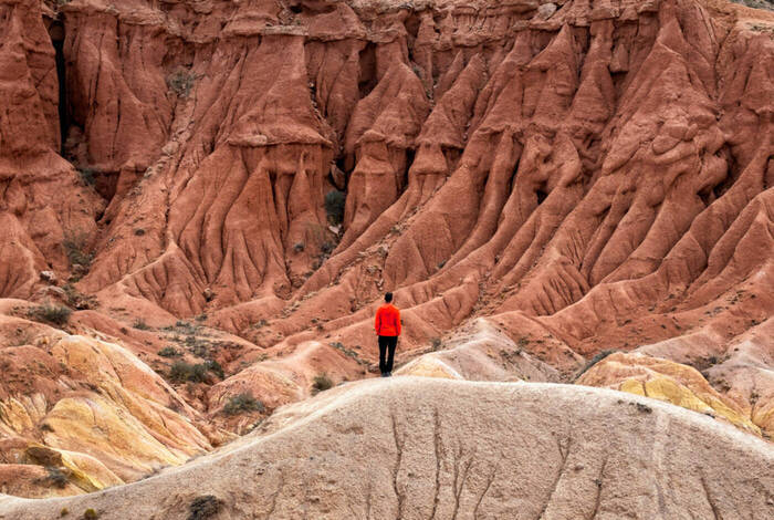 Premium Central Asia