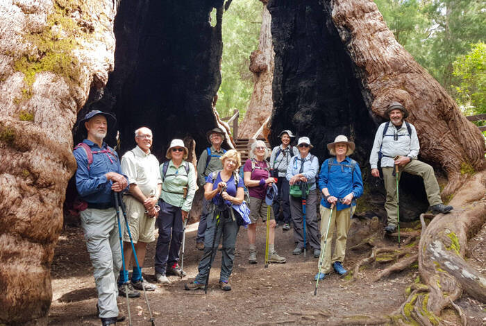Hike the Bibbulmun Track: Walpole to Denmark Hike the Bibbulmun Track: Walpole to Denmark