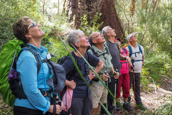 Hike the Bibbulmun Track: Walpole to Denmark Hike the Bibbulmun Track: Walpole to Denmark