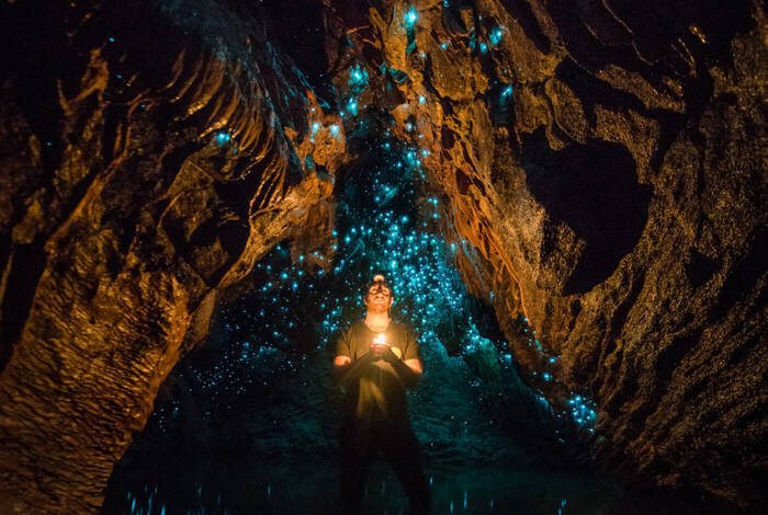 Premium New Zealand North Island