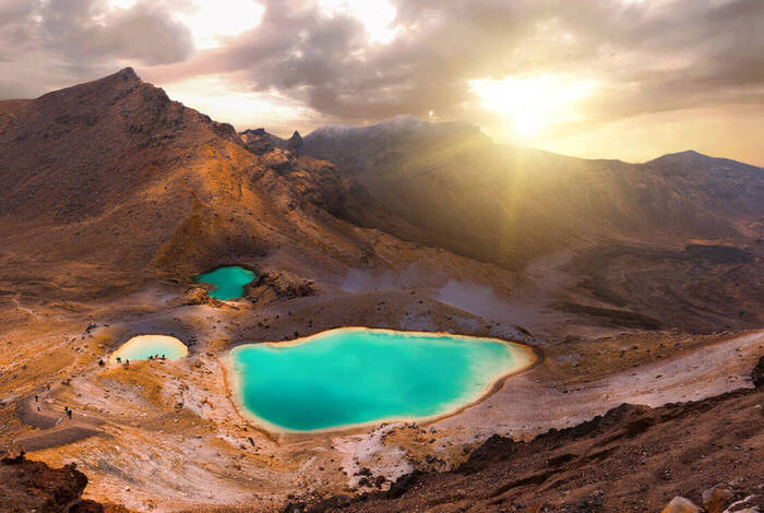 Premium New Zealand Encompassed