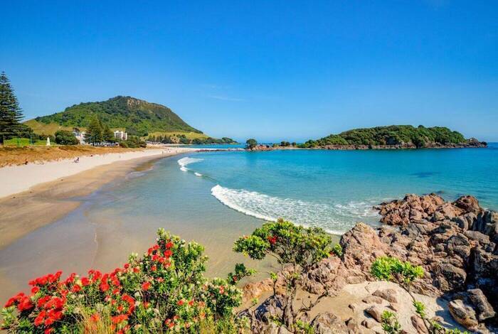 One Week in New Zealand: North Island