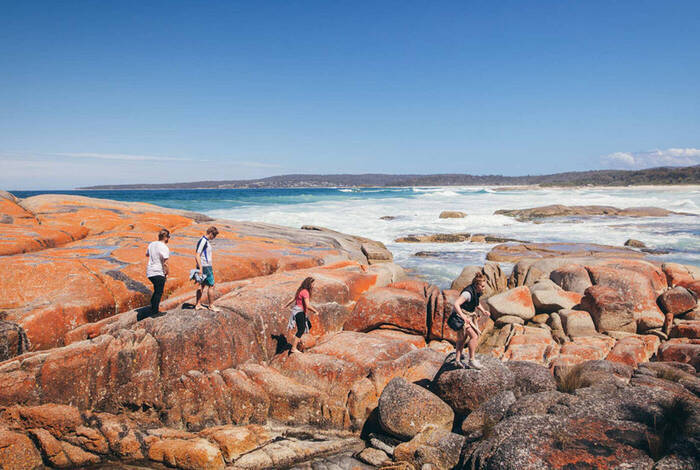 Walk Tasmania's Bay of Fires