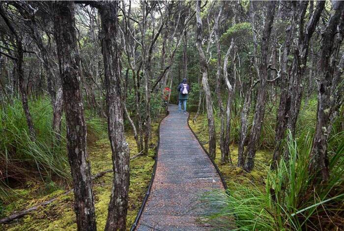 Walk Tasmania's Bay of Fires