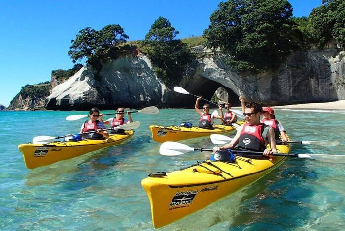 New Zealand's North to South Island Adventure