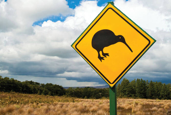 Queenstown Southern Loop