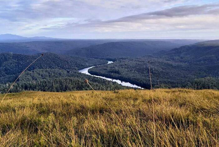 Walk Tasmania's Tarkine & Cradle Mountain