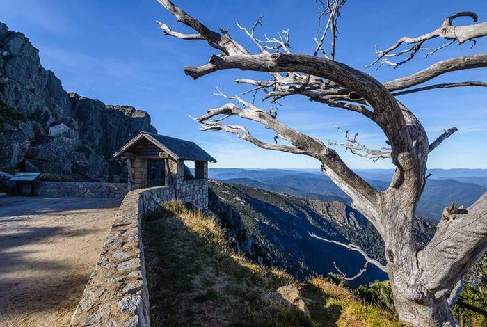 Walk Victoria's High Country Walk Victoria's High Country