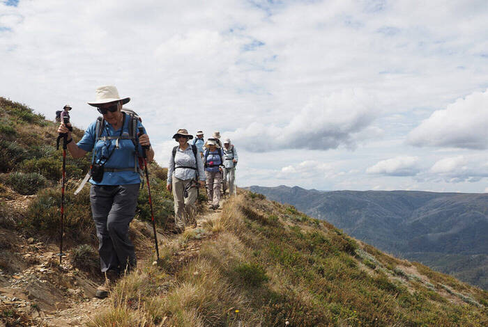 Walk Victoria's High Country Walk Victoria's High Country