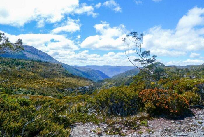 Trek the Cradle Mountain Overland Track
