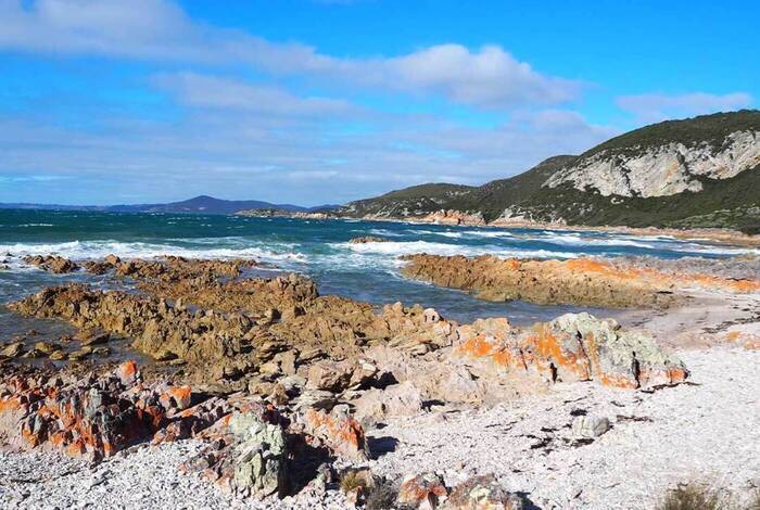 Best of Tasmania's Tarkine & Cradle Mountain