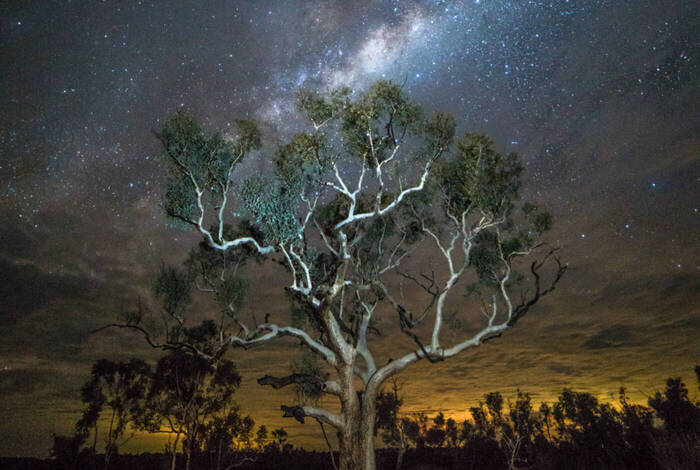 West Coast & Karijini Adventure