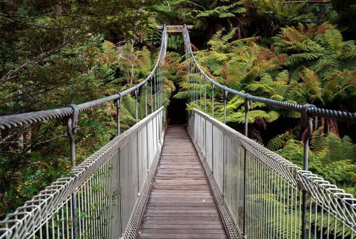 Melbourne to Sydney Adventure Melbourne to Sydney Adventure