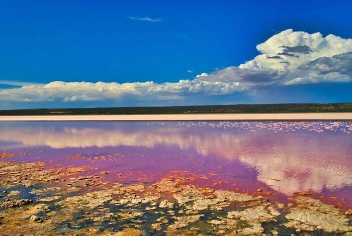 West Coast Adventure (Southbound) West Coast Adventure (Southbound)