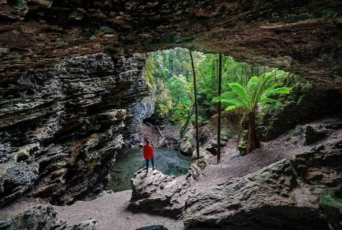 Best of Tasmania's Tarkine & Cradle Mountain