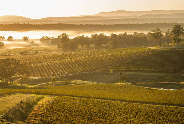 Sydney to Cairns Adventure