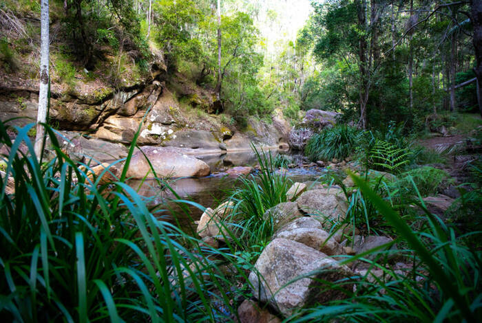 Hike Queensland's Scenic Rim Trail