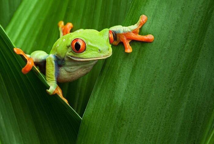 Costa Rica Short Break: La Fortuna