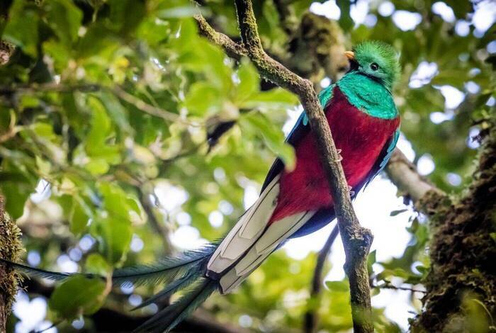 Best of Costa Rica Best of Costa Rica