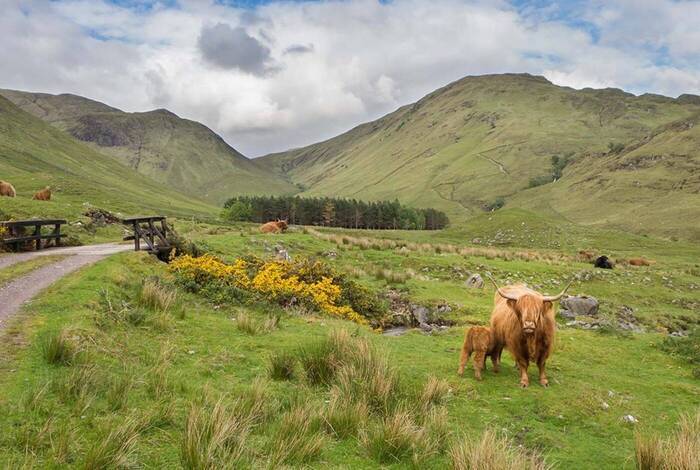 Premium Scotland Premium Scotland