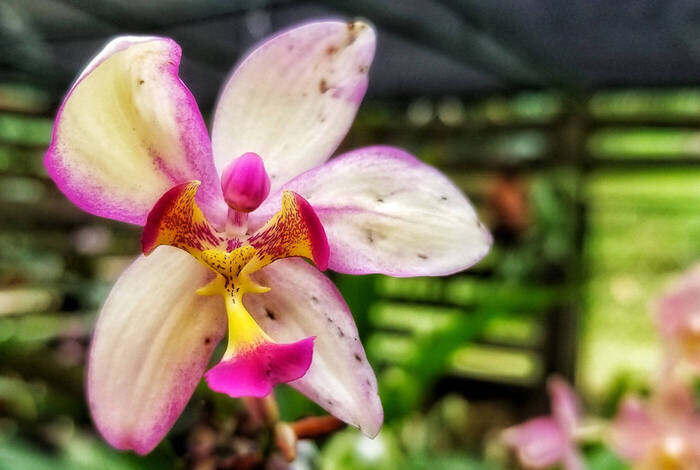 Cycle Cuba Cycle Cuba