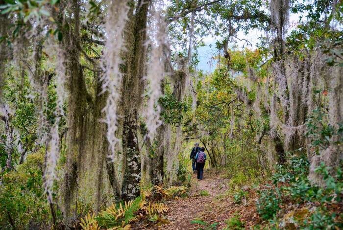 Hiking in Mexico: Oaxaca’s Indigenous Highlands