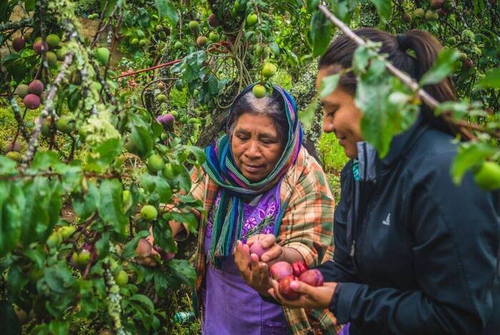 Hiking in Mexico: Oaxaca’s Indigenous Highlands