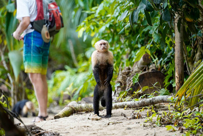 One Week In Costa Rica