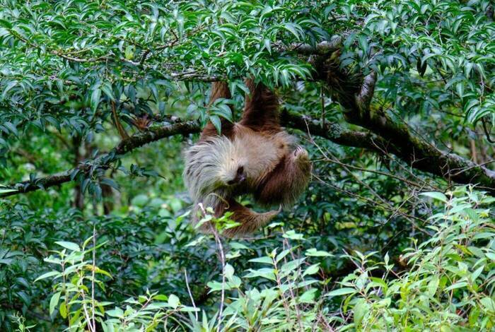 Best of Costa Rica Family Holiday Best of Costa Rica Family Holiday
