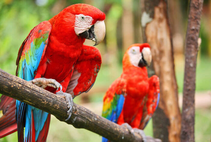 Costa Rica Family Holiday Costa Rica Family Holiday