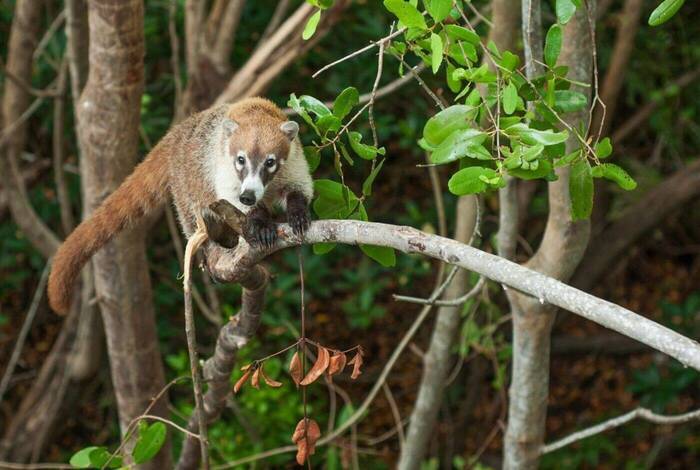 Costa Rica Family Holiday