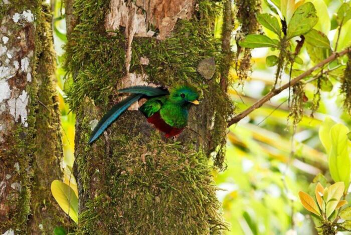 Costa Rica Family Holiday