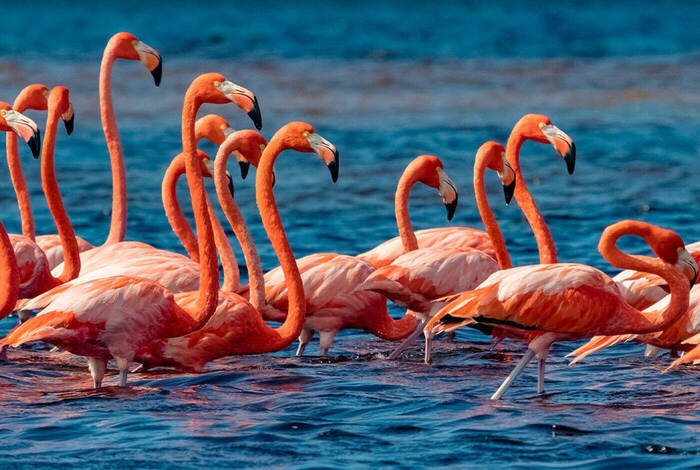 Mexico Family Holiday