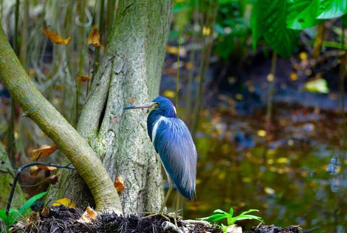 Tulum to Chichen Itza Short Break