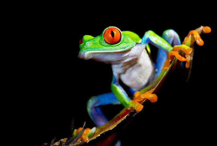 Costa Rica & Panama Discovery Costa Rica & Panama Discovery