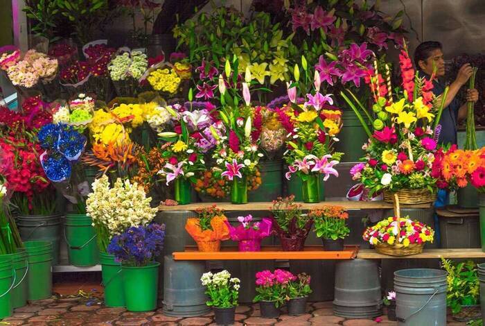 Mexico City: Day of the Dead Original