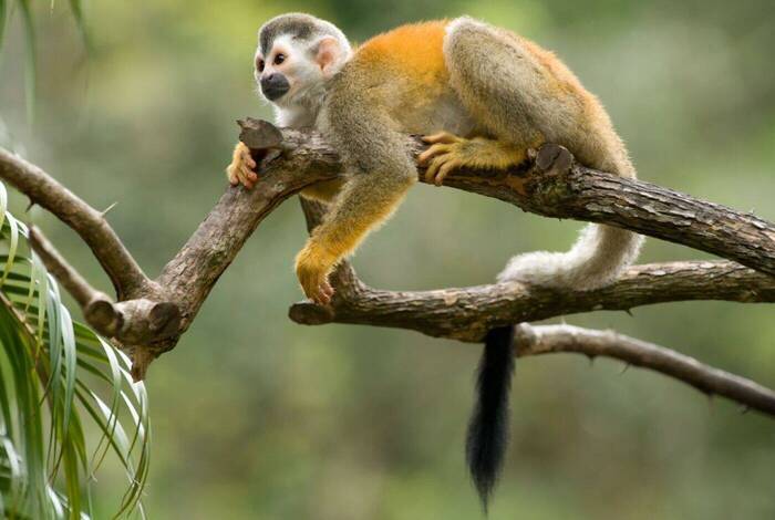 Costa Rica: Hike, Bike & Raft