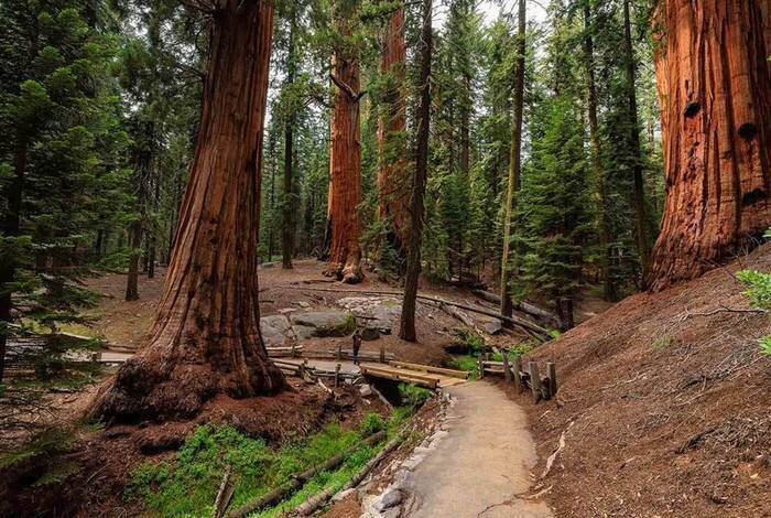 Hiking in Yosemite National Park