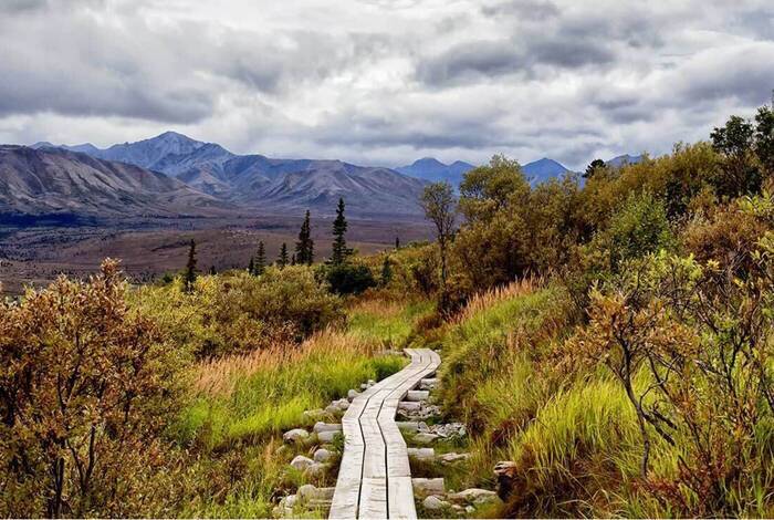 Alaska Hike, Bike & Kayak