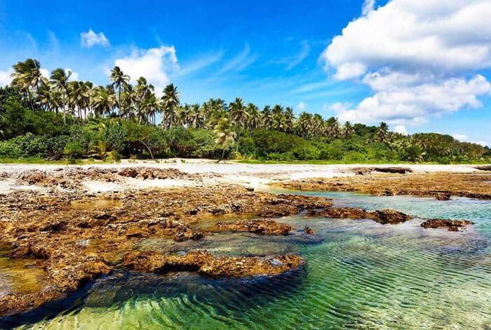 Vanuatu Expedition Vanuatu Expedition