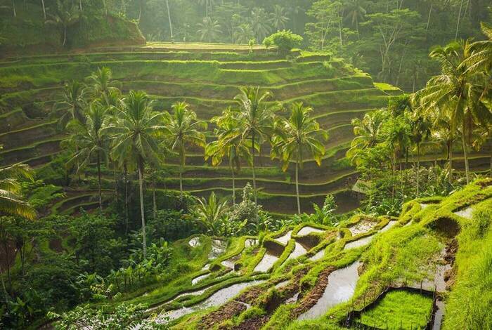 Beautiful Bali