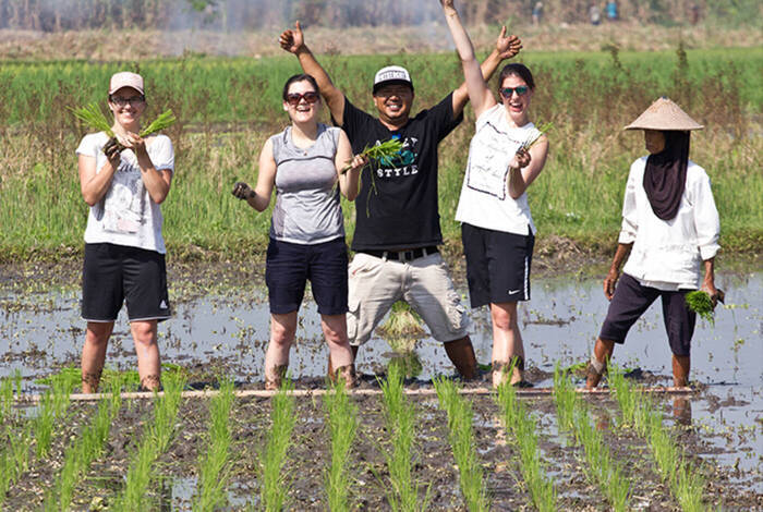 Java & Bali Explorer Java & Bali Explorer